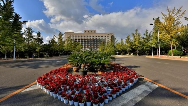 东北财经大学研究生，在知识的海洋中扬帆远航