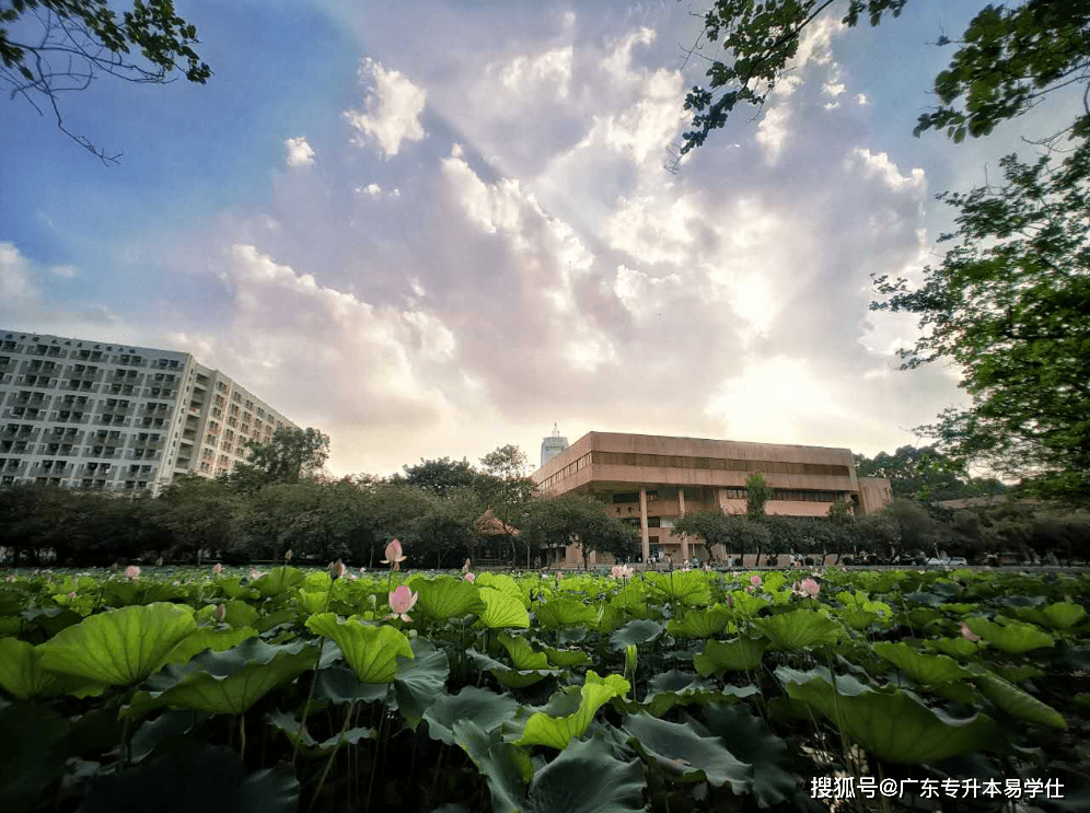 2023年五邑大学录取分数线全解析，梦想启航的门槛