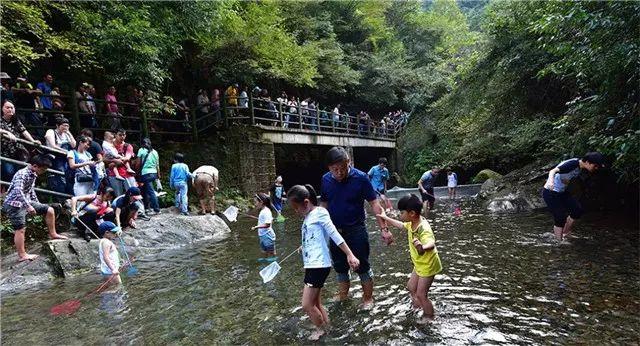 萌萌哒来袭，天线宝宝视频大全的欢乐盛宴