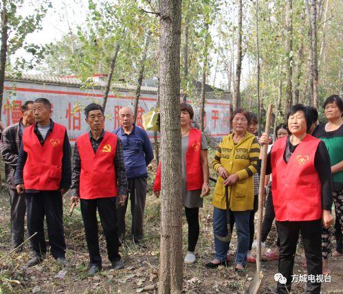 探索快乐学习之旅，天线宝宝早教动画片中文版在线观看