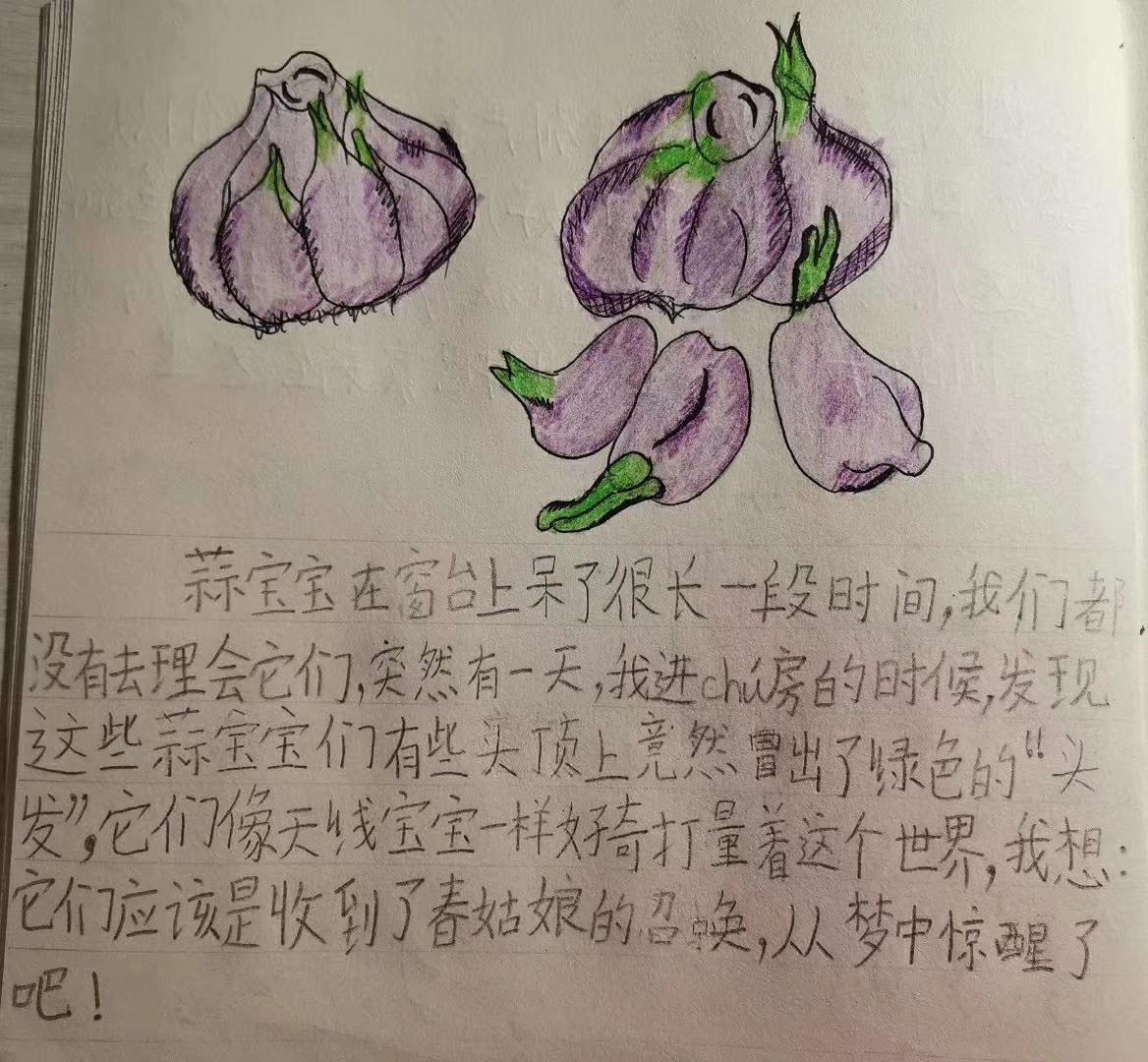 萌趣无限，天线宝宝画法全攻略