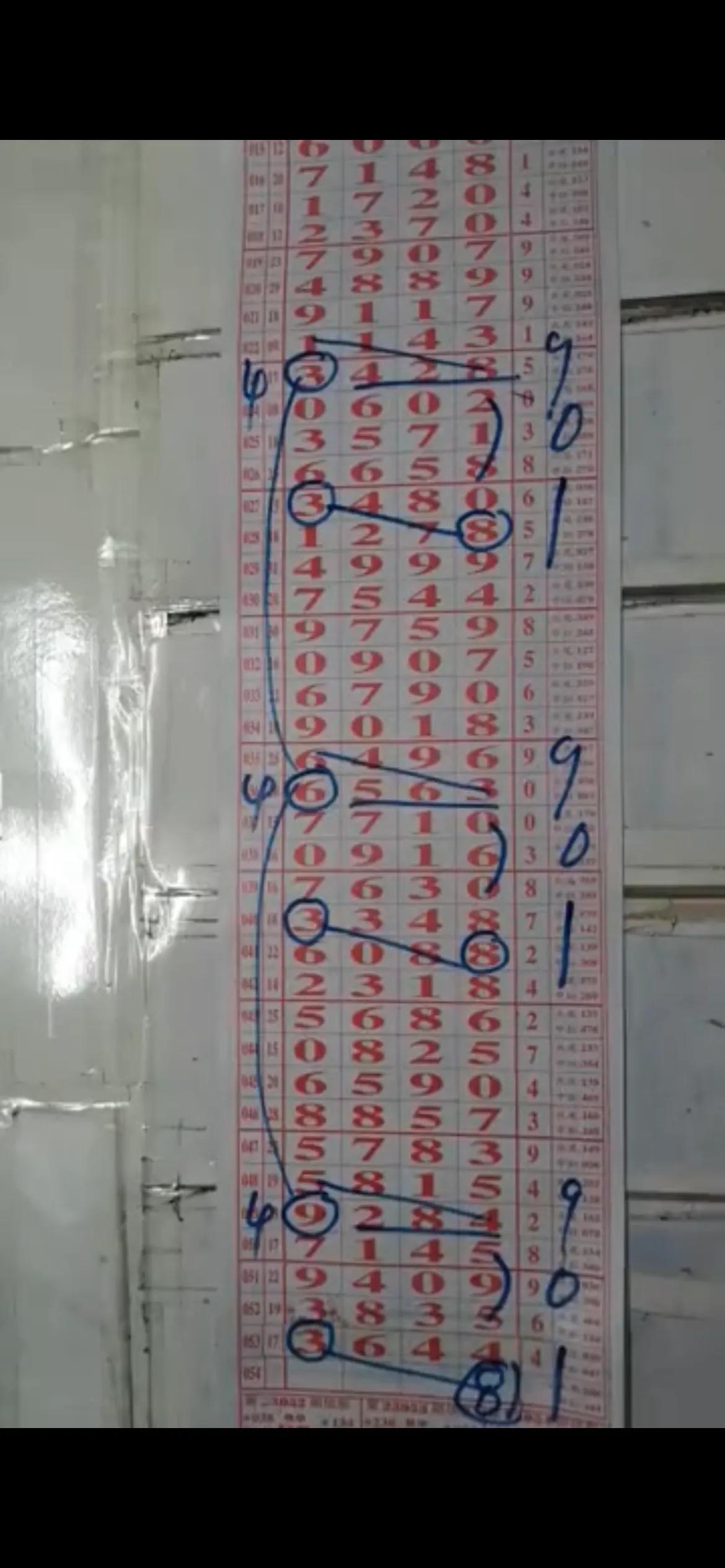 探索数字的奥秘，体彩排五走势图综合版深度解析