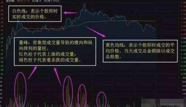 排列五综合版走势图100期，深度解析与策略探讨