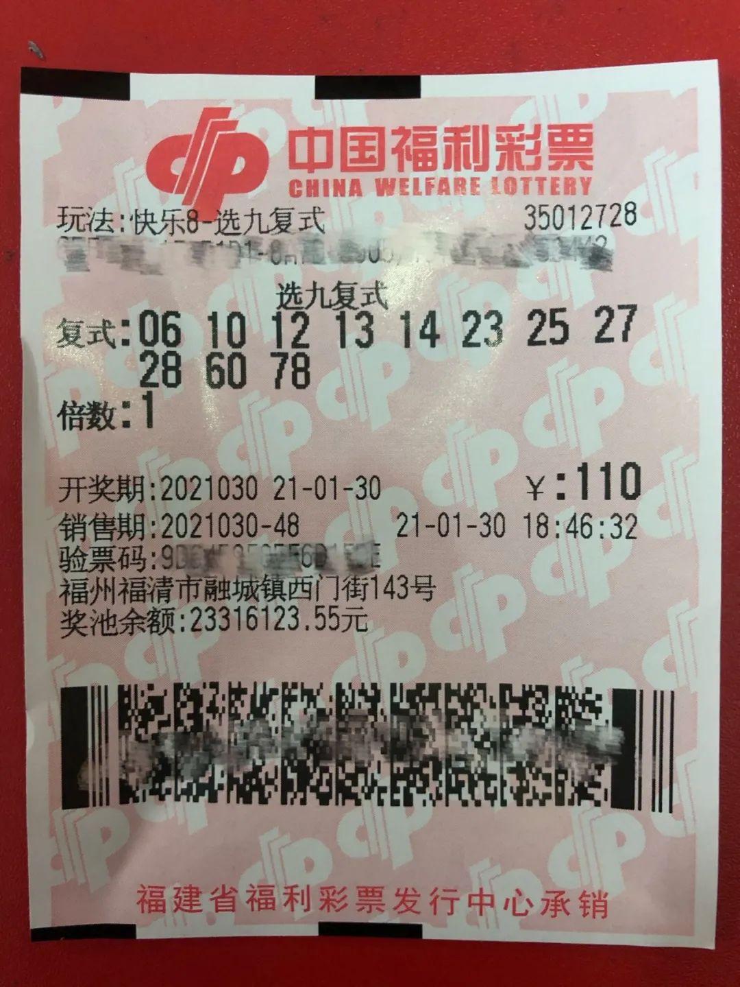 守号二十载，终圆梦——一位彩民的坚持与奇迹