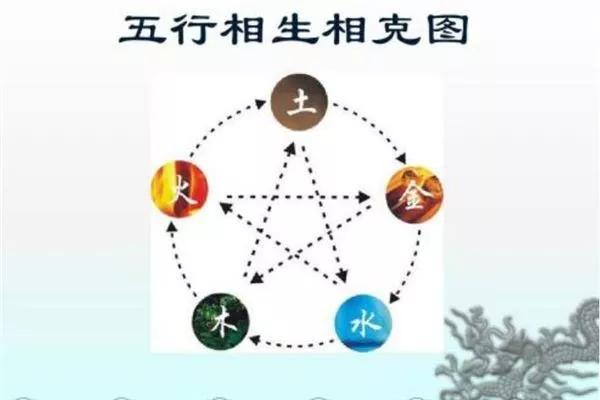 今晚双色球号码揭秘，揭秘彩票背后的数字游戏