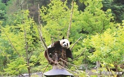 九寨沟地震，自然之痛，人间温情