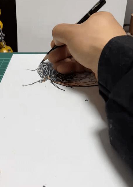 探索3D历史的500期开奖奇迹，数字背后的故事与未来展望