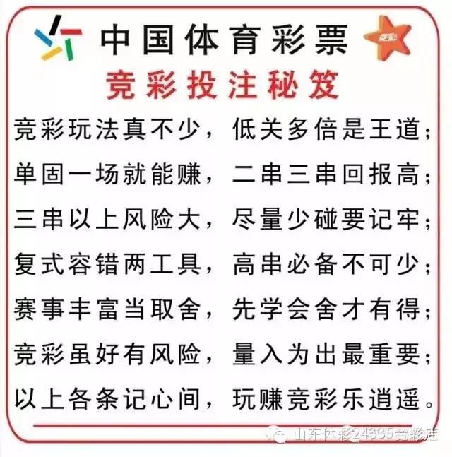 探索中国体育彩票开奖结果查询的奥秘与便捷性