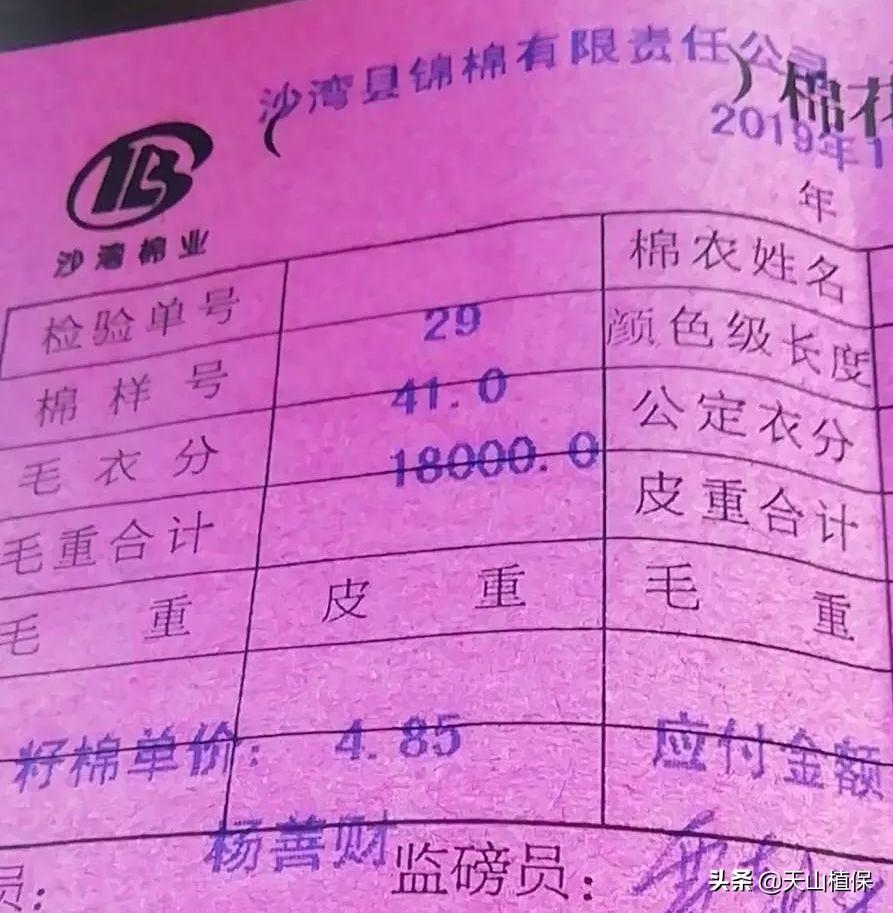 探索中国棉花产业新动向，中国棉花信息网e棉网深度解析