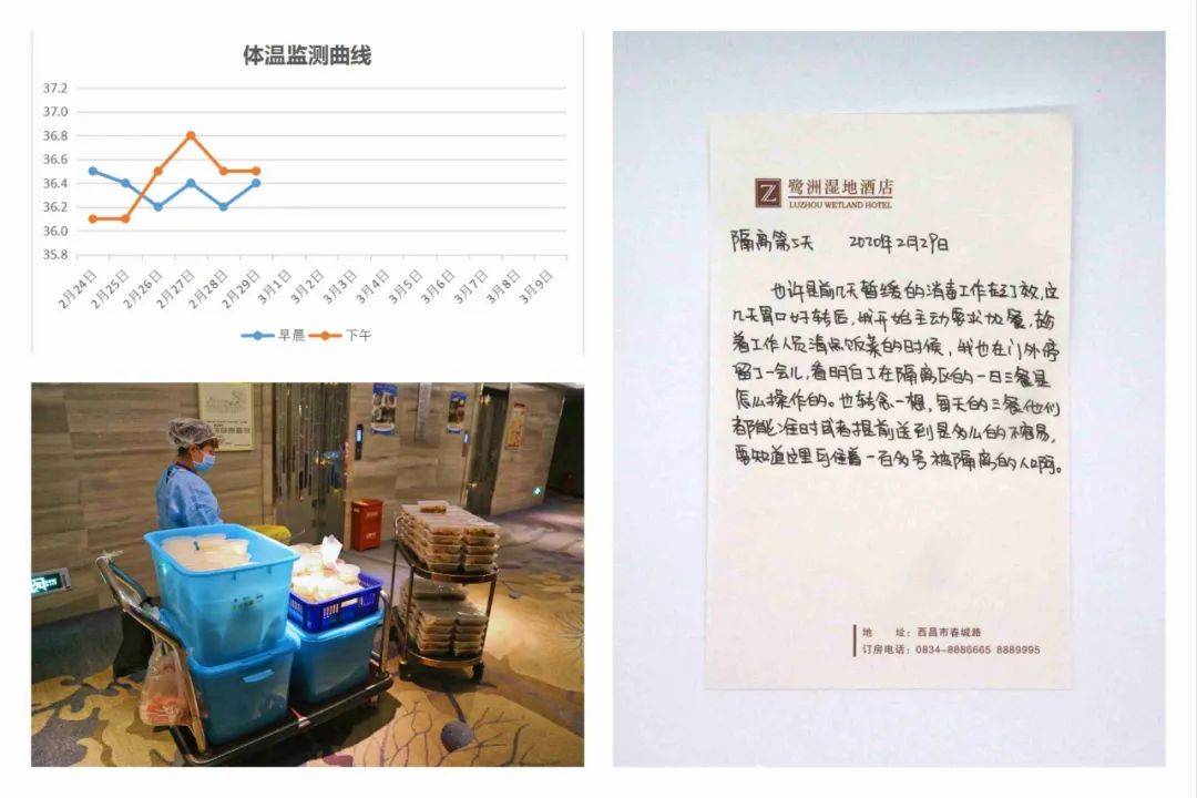 31选7，揭秘开奖记录的背后故事