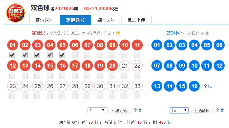 双色球胆拖随机选号器，智慧投注的幸运新选择