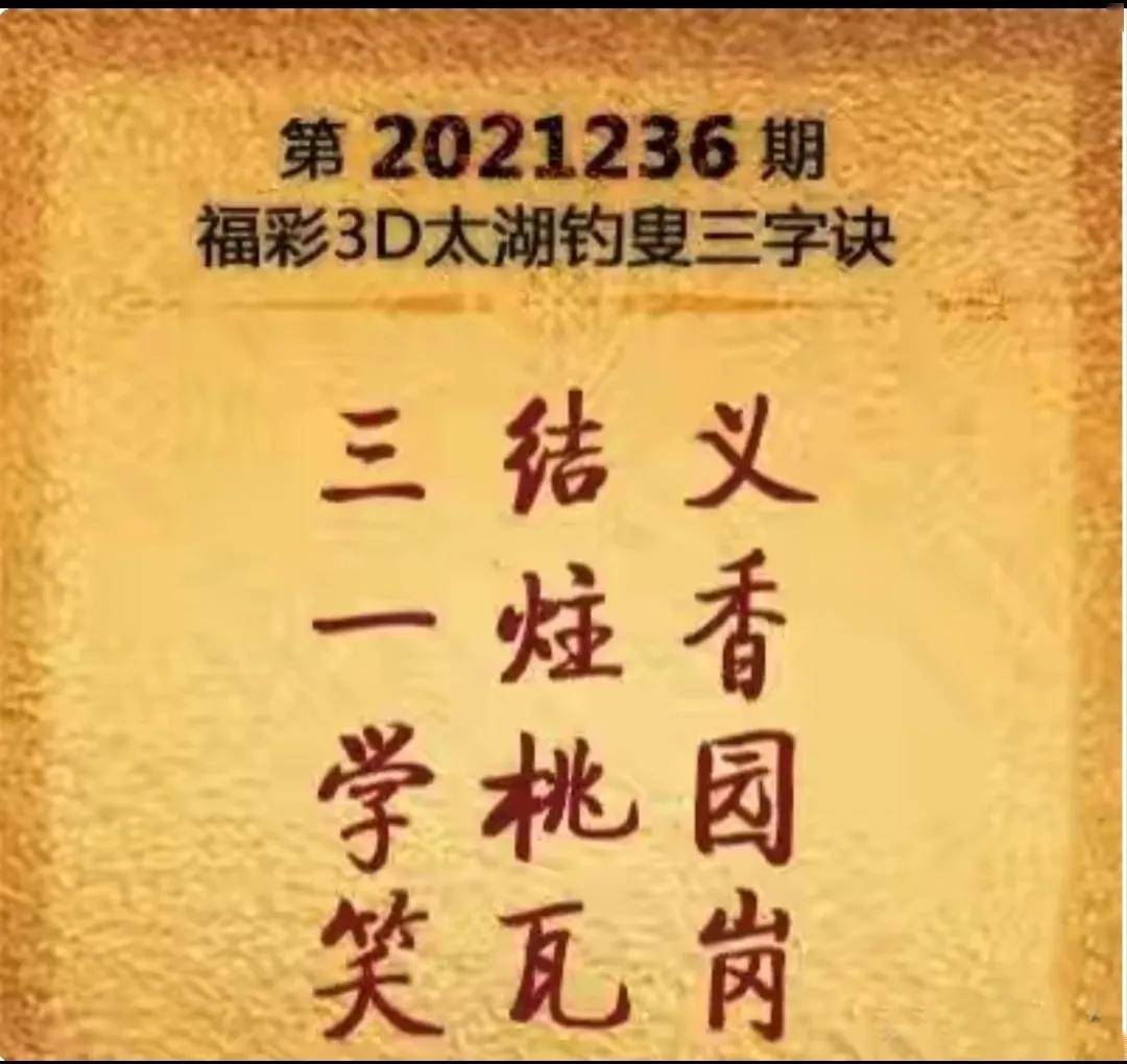 福彩3D丹东字谜，解密数字背后的文化与智慧