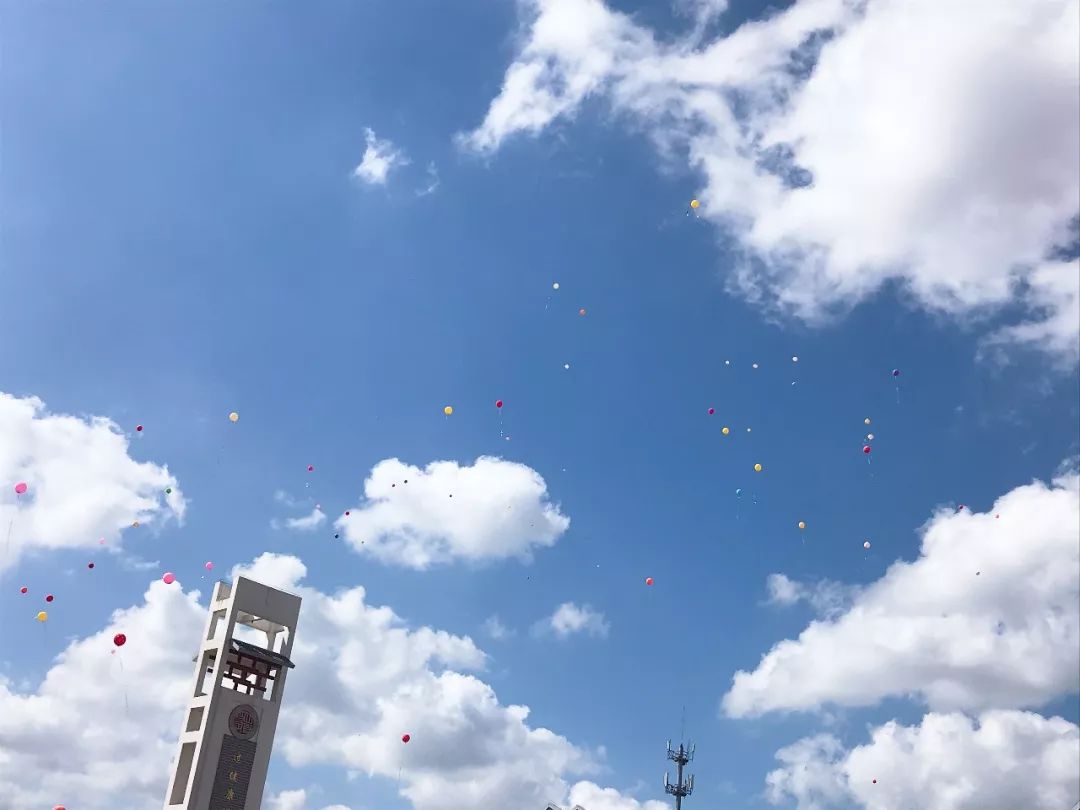 天空彩票，与你同行，共筑梦想的桥梁