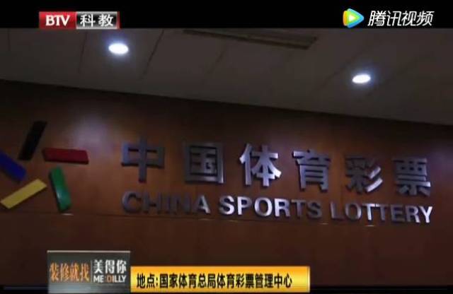 2019年香港今晚开奖结果查询，揭秘彩票背后的故事与影响