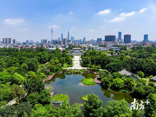 2020年南方双彩网，数字与梦想的交织