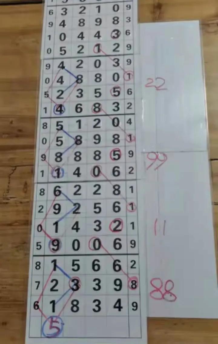 排列五中奖票样图，揭秘彩票背后的幸运密码