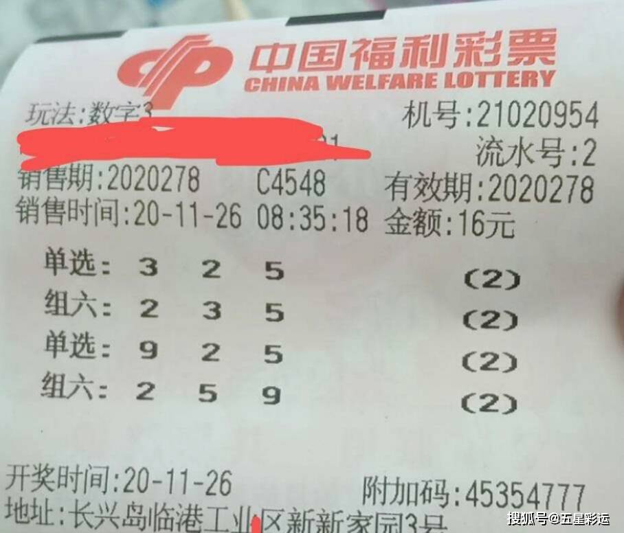 3D之家，彩民的智慧乐园与开机号奥秘