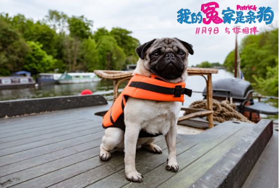 创意无限