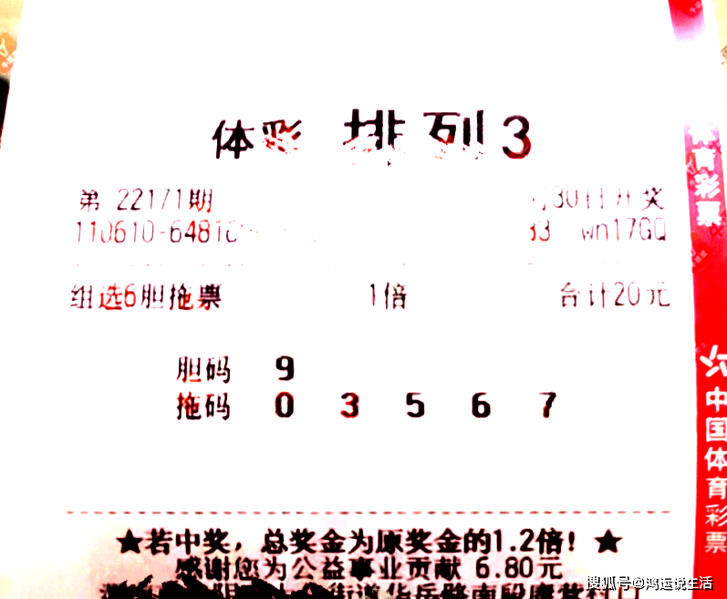 3D字谜，八哥的智慧之舞
