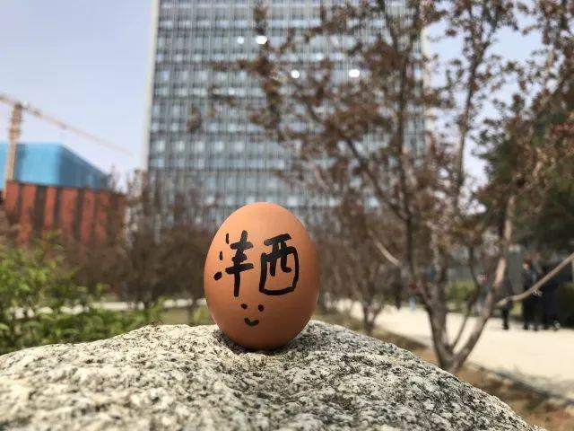 快乐20分钟，探索开奖官网的奇妙之旅