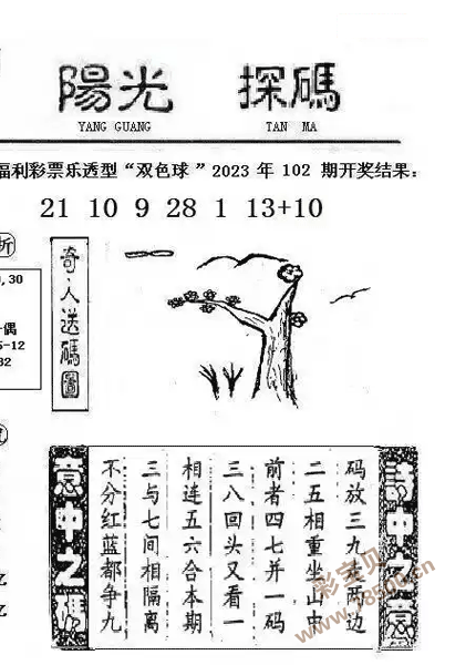 阳光探码图解，解锁自然之美的秘密钥匙