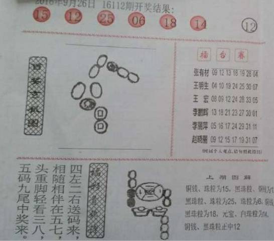 最新双色球阳光探码，揭秘数字背后的奥秘与乐趣