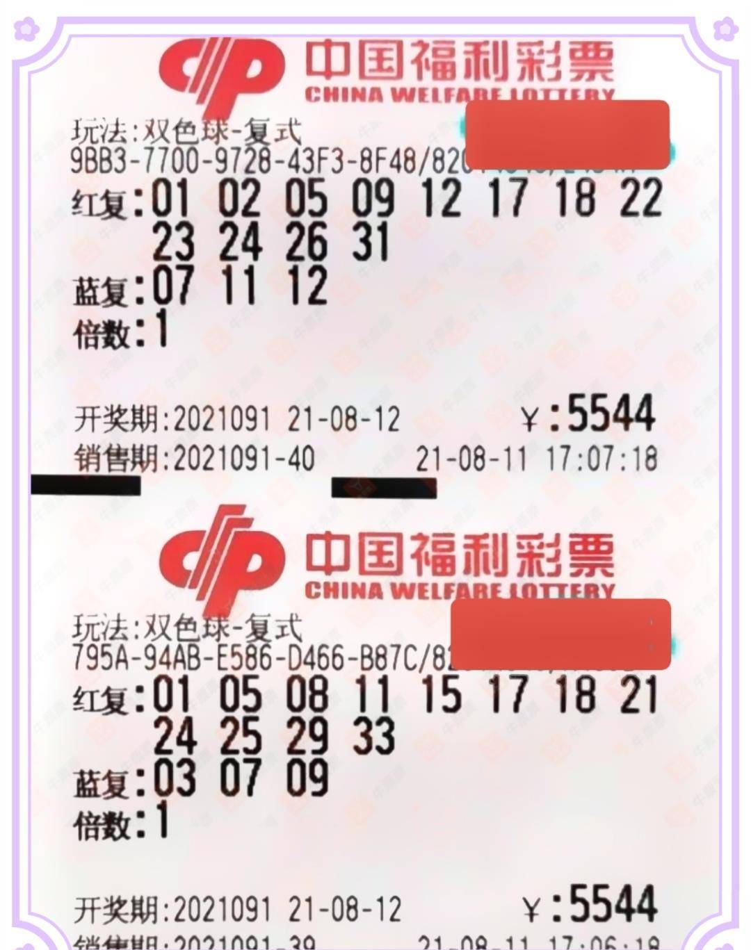 双色球自动选号工具，理性与幸运的智慧结合