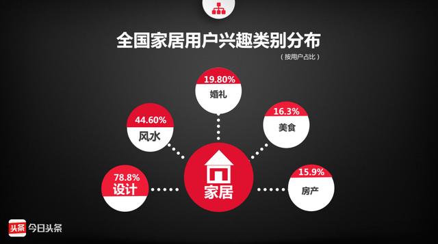 探索中彩数据的奥秘，解锁数字背后的无限可能