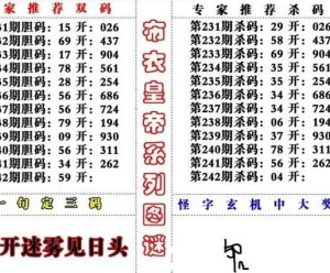 福彩3D真正老道字谜总汇大全，揭秘中奖秘诀与策略