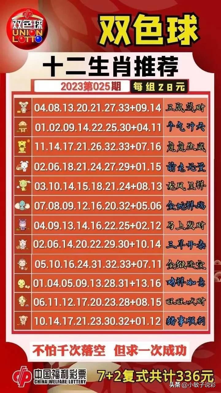 前区杀号与后区杀号的智慧，天齐网双色球策略解析