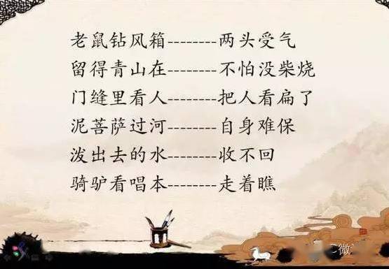 顶呱呱歇后语，生活中的智慧与幽默