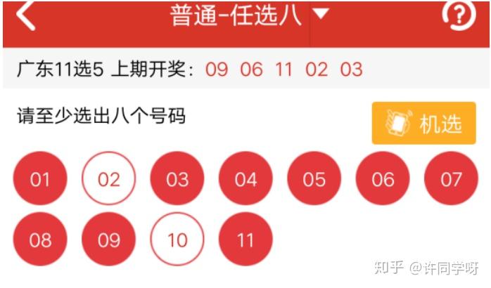 十一选五中五个号，揭秘彩票投注的乐趣与成本