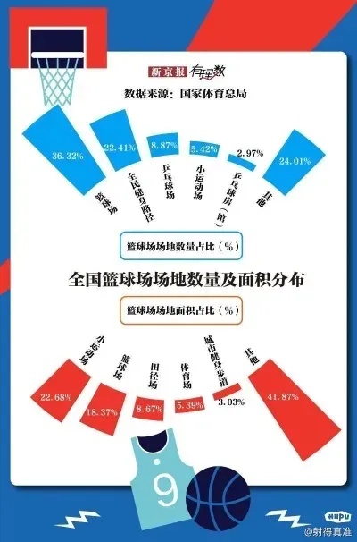 探索NBA彩经的奥秘，揭秘观看渠道与策略指南