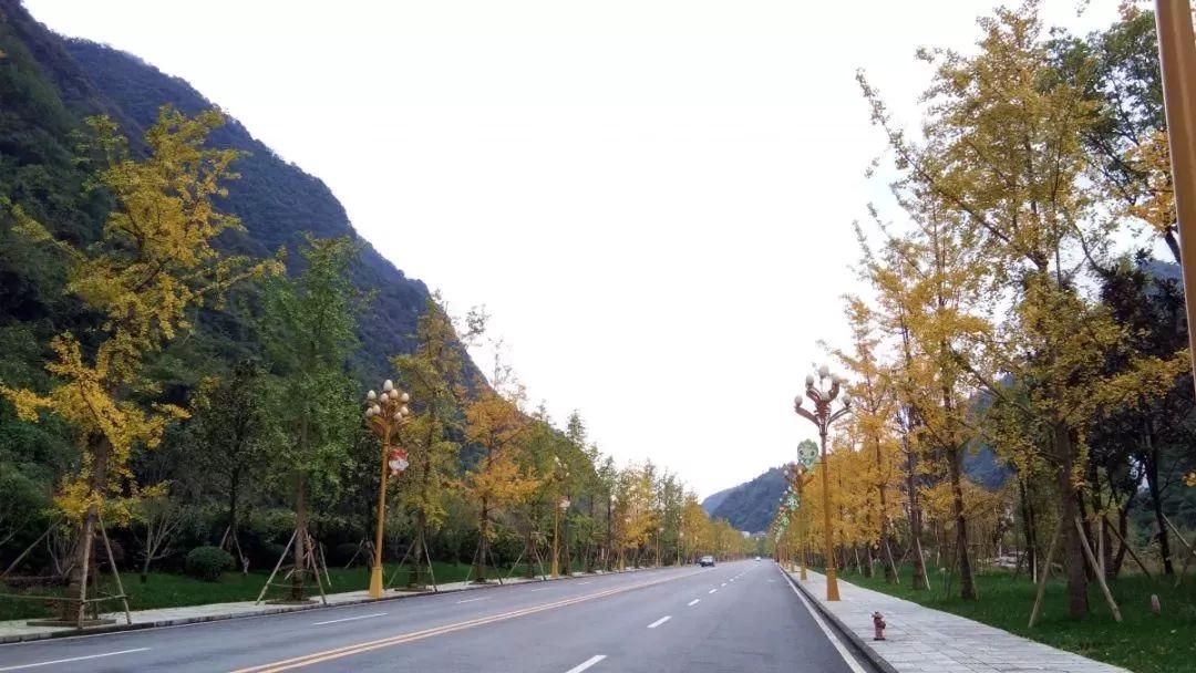 晚秋三地，一场关于值谜与字谜的秋日盛宴