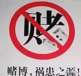 赌博活动不仅会对个人的身心健康造成严重危害，还可能导致家庭破裂、社会问题等更广泛的影响。我们应该坚决抵制任何形式的赌博活动，并积极倡导健康、积极的生活方式