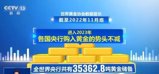澳门六开2021历史记录，回顾与展望的视觉盛宴