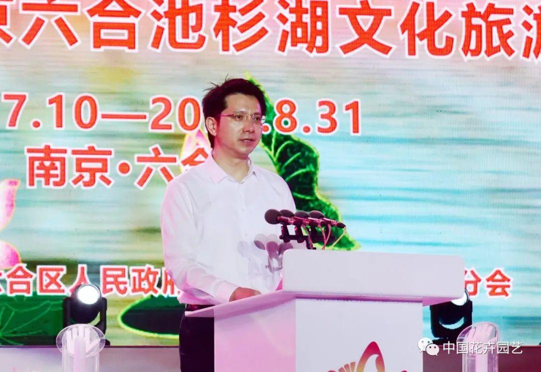 澳门六给开奖结果今日揭晓，最新消息与趋势分析