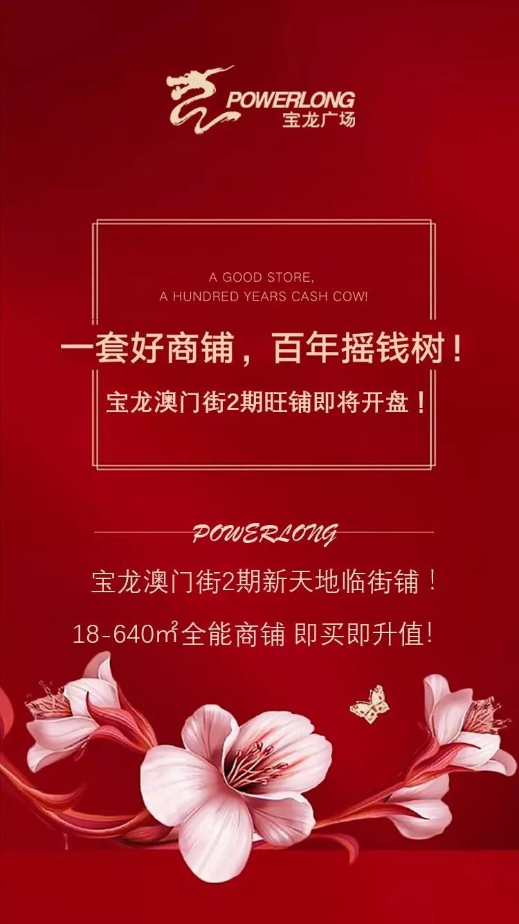 澳门六宝合典，揭秘最佳选择与推荐理由