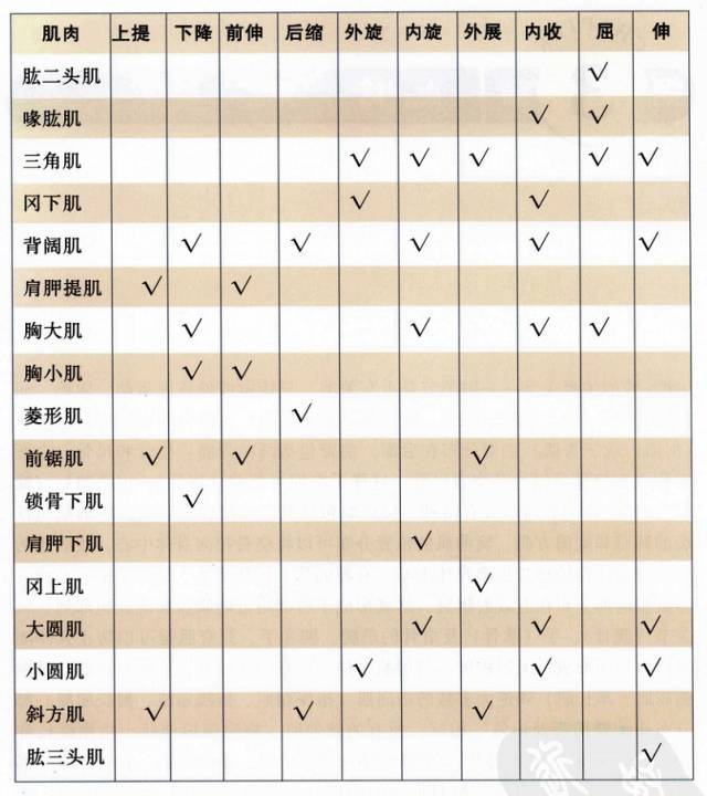 澳门六宝合典2022最新版，全彩图文解析与价格指南