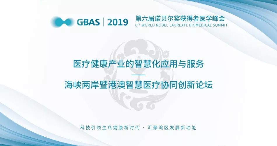澳门六叔公高手论谈，揭秘赌场智慧与人生哲理的免费在线观影指南