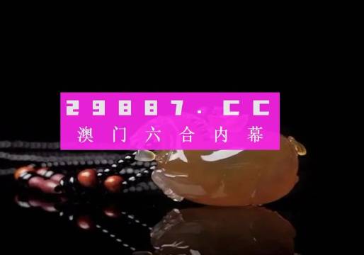 澳门六叔公高手论谈，免费在线观看视频的独特魅力