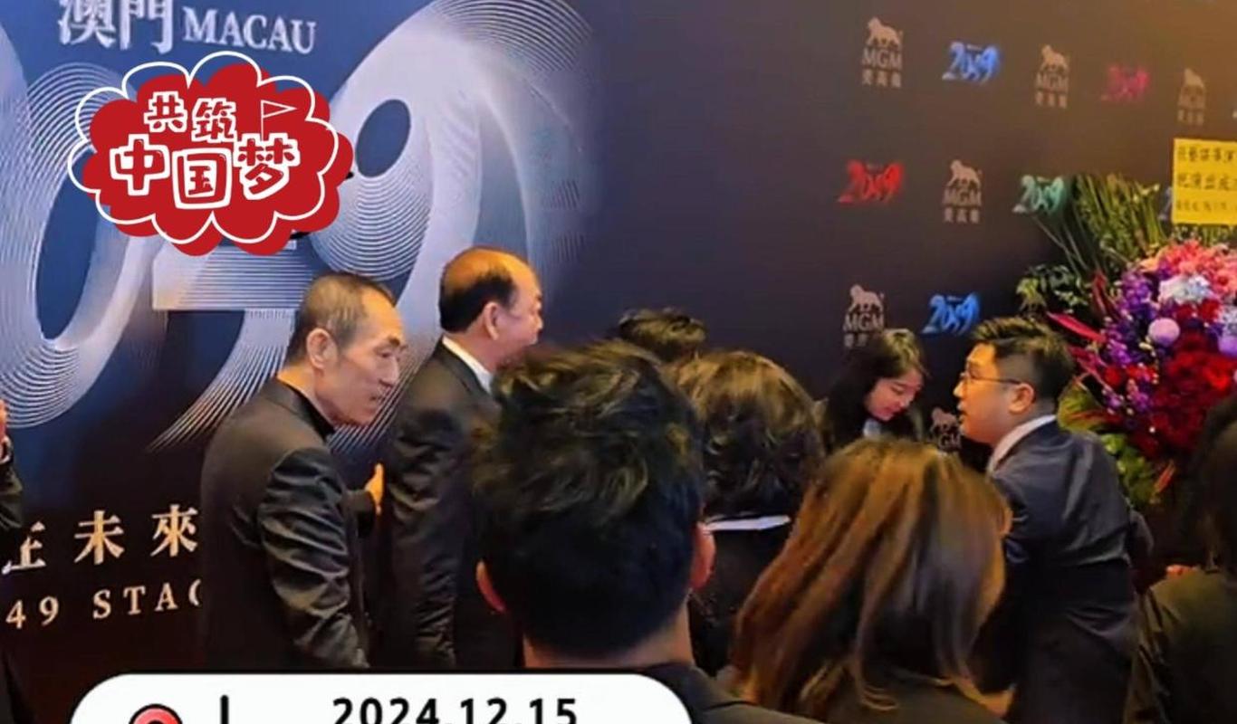 澳门六叔公高手论谈，深度解析与免费观看指南