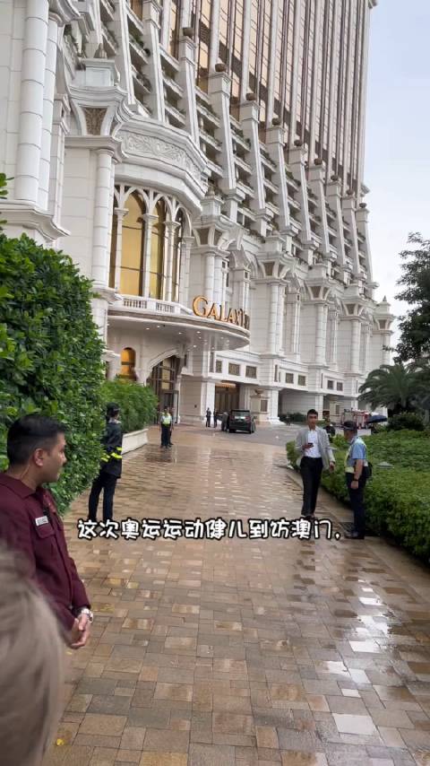 澳门六叔公高手论谈视频，深度解析与合法下载指南