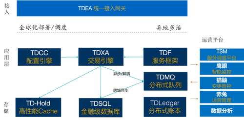 澳门六肖专家，级别与专业组成的深度解析