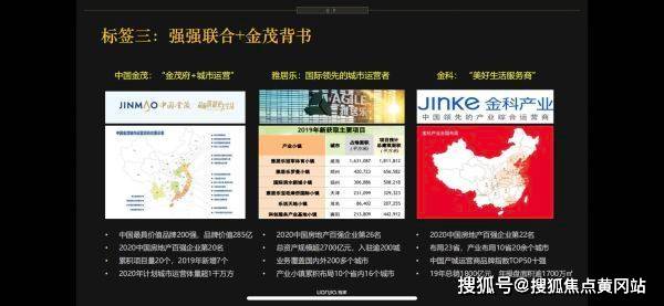 澳门六肖王中特开奖结果查询表最新消息，揭秘与解析